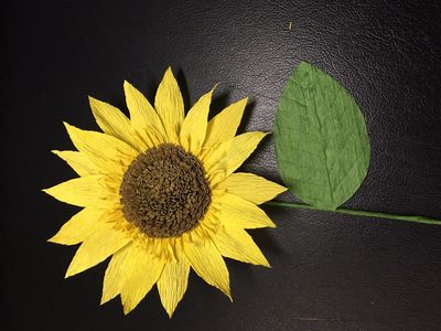 皱纹纸DIY向日葵的方法