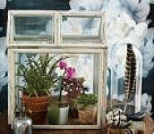 老相框改造的家庭植物小温室