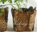 烂木头也能变废为宝：改造原生态的木纹花盆