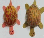 儿童手工课：怎么制作核桃壳小乌龟