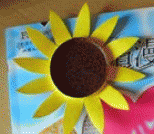 儿童手工课：用纸杯做的手工向日葵