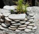 用石子和贝壳DIY石器时代花盆