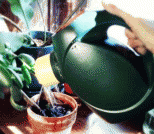 如何利用洗衣液瓶子做环保家用浇花壶