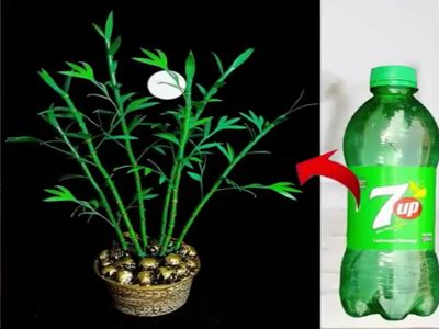 废塑料瓶DIY凤尾竹盆栽摆件