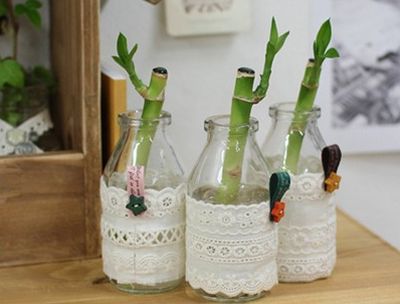 玻璃瓶罐变身美美小花瓶的三个简单生活创意