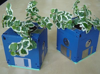 旧物再利用 DIY软盘植物花盆