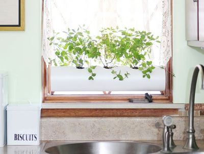 PVC管DIY厨房窗台香草植物盆栽花盆