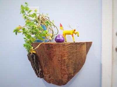 木艺树头树根墙饰壁挂展示架