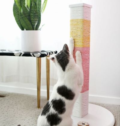 如何在家diy麻绳猫抓柱制作教程