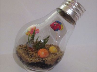 手工DIY灯泡瓶温室植物盆栽