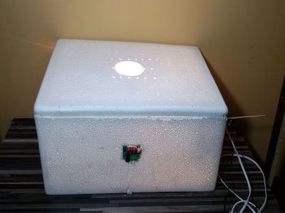 利用泡沫箱DIY孵小鸡恒温箱
