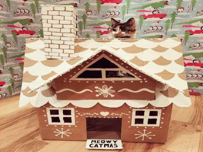聖誕屋的做法，DIY硬紙板房子外型貓