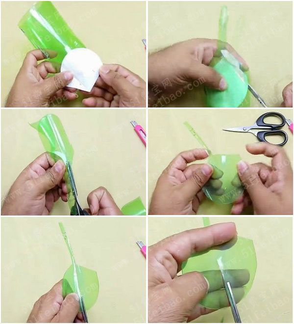 如何使用雪碧瓶DIY袖珍椰子树盆栽