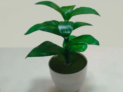 如何改造塑料瓶DIY常青绿萝盆栽