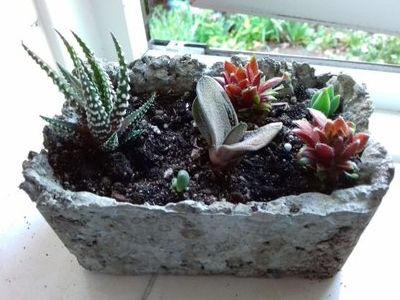 使用废纸DIY再生花盆
