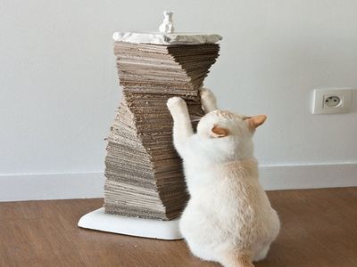 廢快遞盒DIY豪華貓抓架製作方法