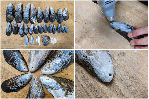 海鲜贝壳变废成宝，DIY做原生态贝壳风铃的方法图解