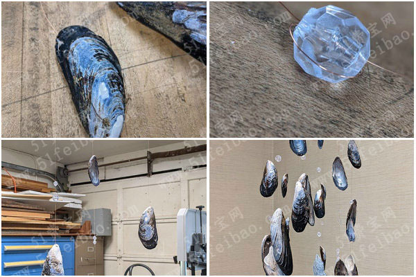 海鲜贝壳变废成宝，DIY做原生态贝壳风铃的方法图解
