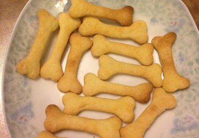 教你怎样自制简便的挤压式骨头饼干模具