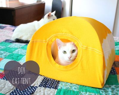 利用家常废旧品速制DIY猫帐篷教程