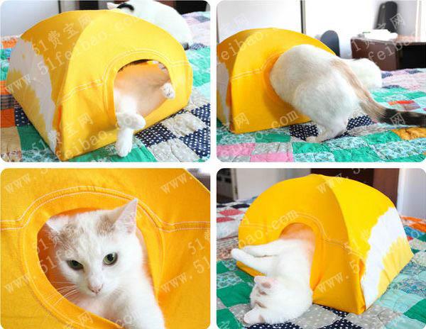 利用废旧品速制DIY猫帐篷教程
