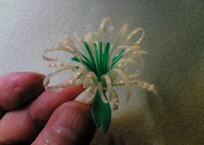如何废物利用一次性吸管做蟹爪菊花
