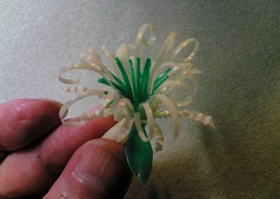 如何废物利用一次性吸管做蟹爪菊花