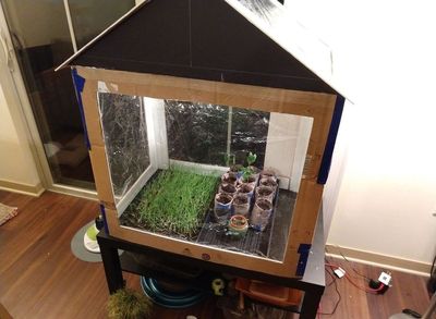 自制大棚:DIY家用花草温室方法