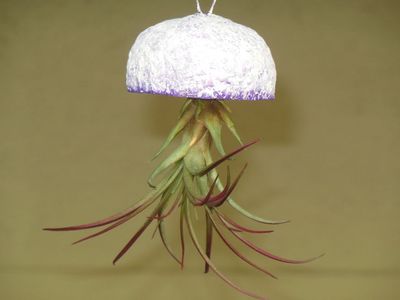 紙板箱邊角料DIY空氣鳳梨懸吊水母花