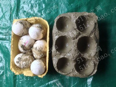利用鸡蛋包装盒diy水泥鸡蛋托盘