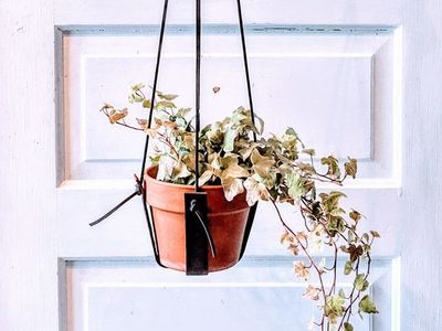 吊篮花架盆栽DIY教程,居家自制皮革
