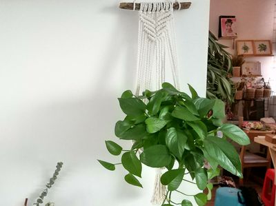DIY壁挂装饰绳编植物挂篮