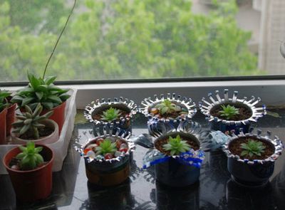 废易拉罐制作土培花篮花盆