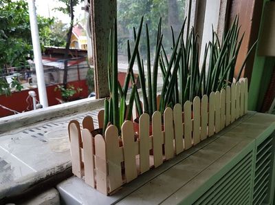 棒冰棍子DIY护花围栏花盆