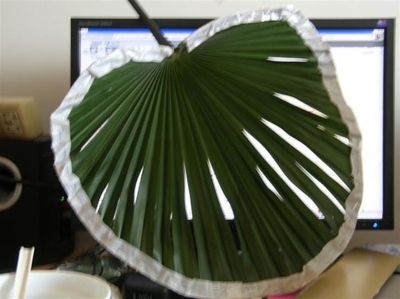 葵扇的做法_教你做diy大葵扇