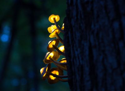 LED蘑菇灯做法|教你做会发光电子蘑菇小夜灯