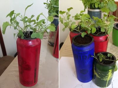 易拉罐DIY自己吸水懒人花盆