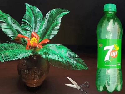 怎么用饮料瓶子在绿植永生花摆件