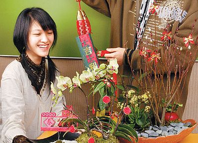 低碳生活小常识 :废旧贺年卡巧妆年味盆栽