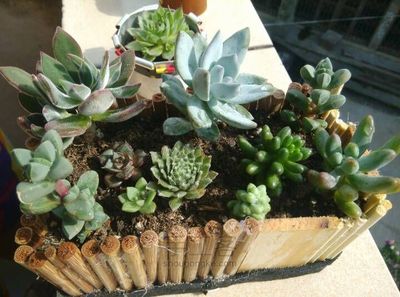 旧筷子简易变化田园风格花盆