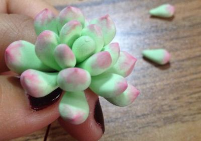 粘土制作逼真粉嫩DIY多肉植物