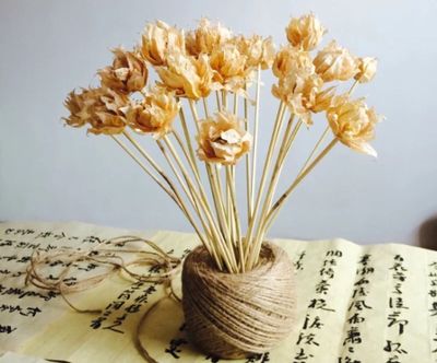 黄姑娘果果皮DIY漂亮花朵儿教程