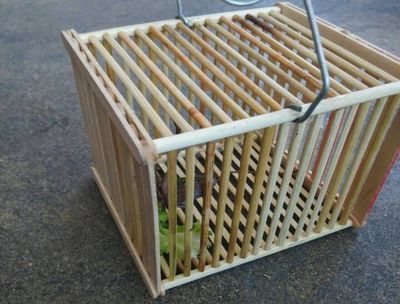 蝈蝈笼子制作雪糕棍diy蝈蝈笼蝈蝈笼子编织法图解