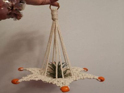 制作空气凤梨花盆容器，如何DIY绳编空气凤梨吊篮
