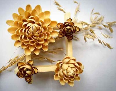 怎样制作黑边重瓣开心果壳花