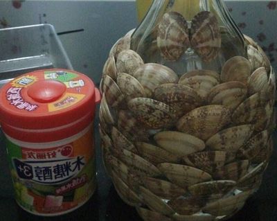 花甲蛤蜊等贝类食物贝壳怎么废物利用