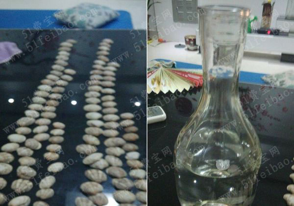 花甲蛤蜊等贝类食物贝壳怎么废物利用