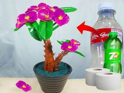 废塑料瓶手工DIY多肉虎刺梅盆栽教学