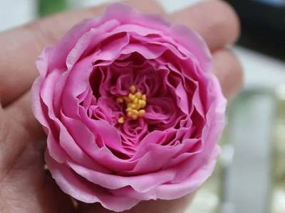 仿真花卉DIY教程，怎样用冷瓷土手工制作英国玫瑰