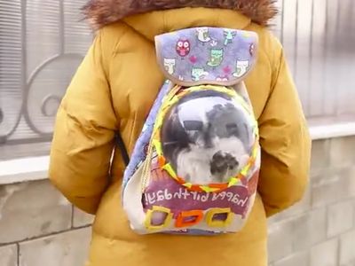 怎么改造旧书包DIY宠物背包
